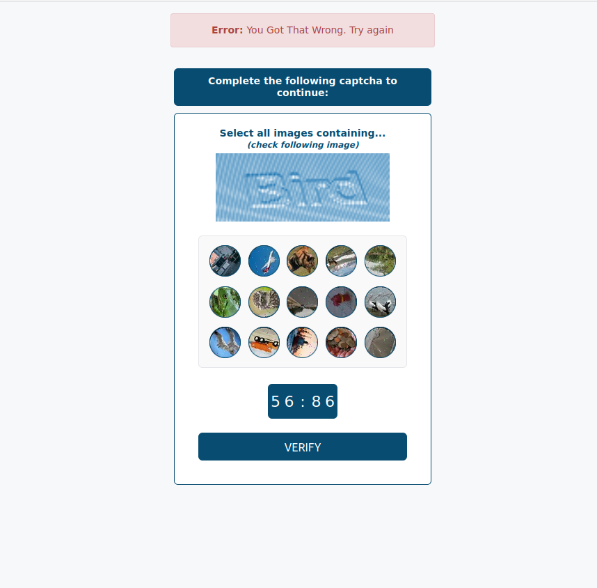 Step 1 – CAPTCHA Verification